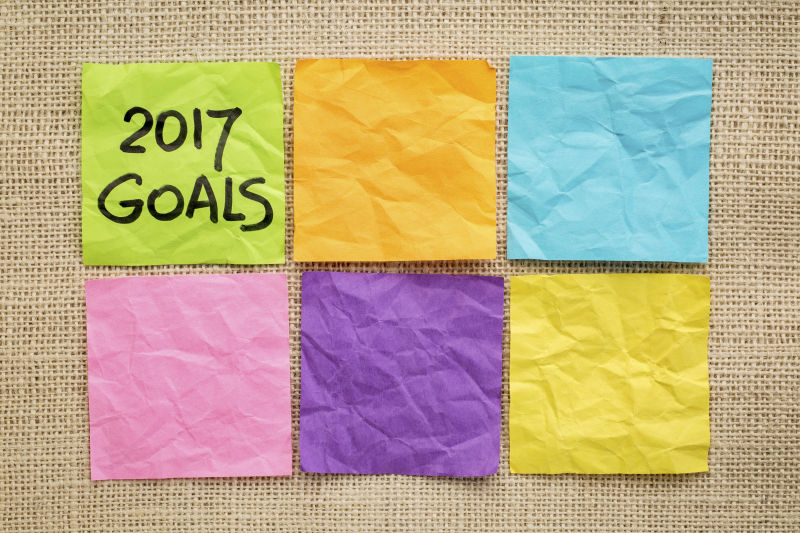 2017个趋势新年目标