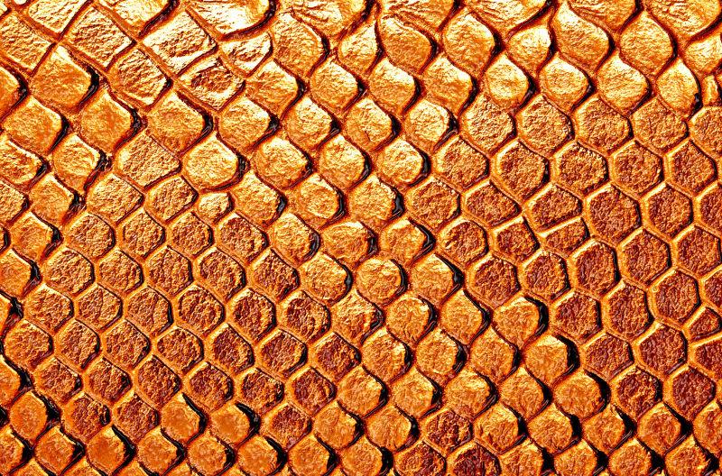 布朗蛇皮肤纹理背景