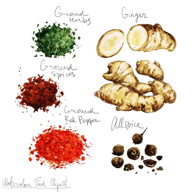 各种水彩蔬菜描述