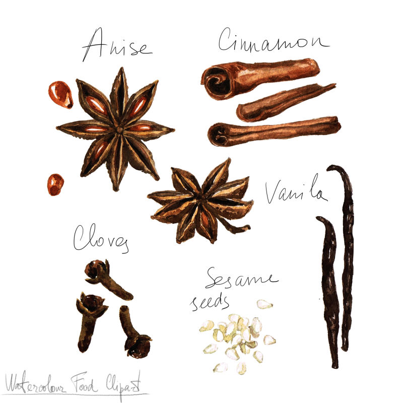水彩描述各种香料