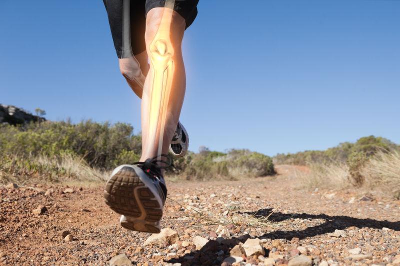 慢跑人腿骨数字合成