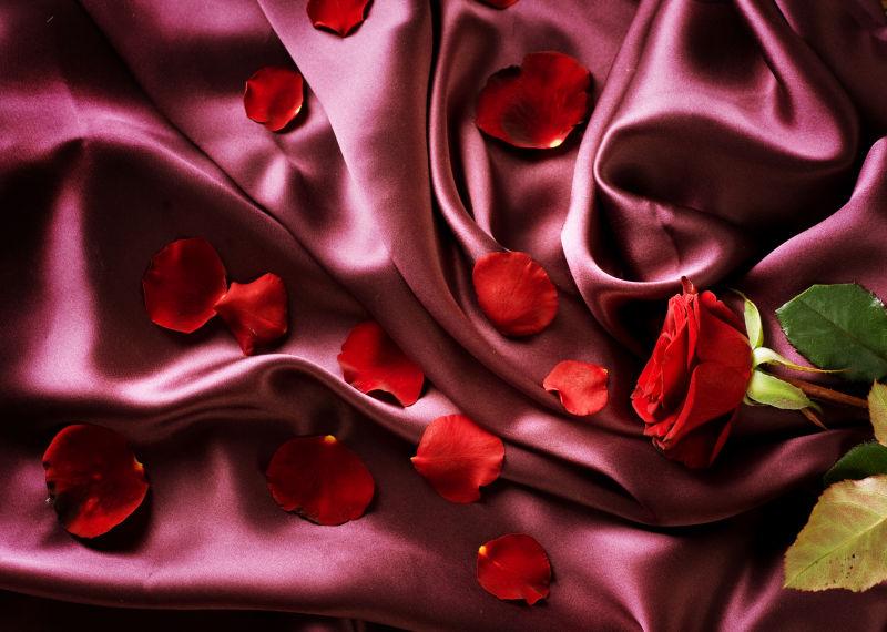 丝绸背景中的玫瑰花瓣