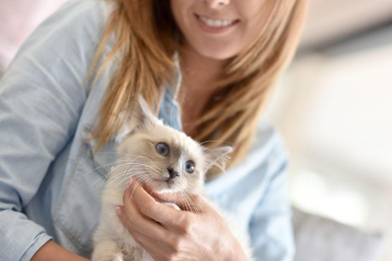 女人抱着可爱的小猫