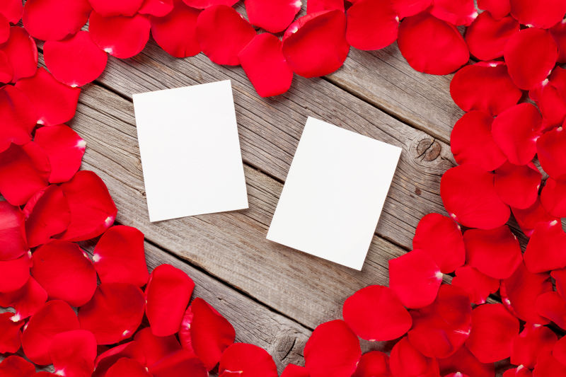 木板上的红玫瑰花瓣相框