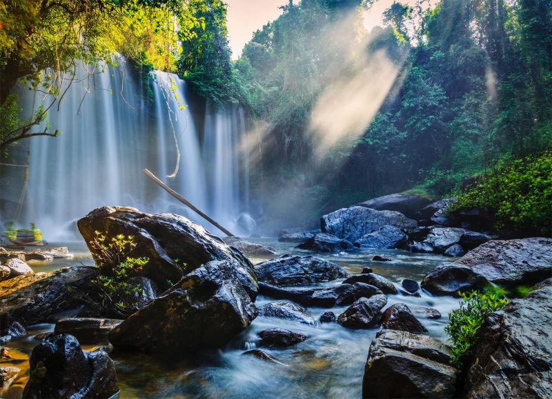 有太阳的光线的飞流直下的森林瀑布