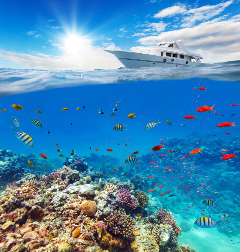 水下的海底世界