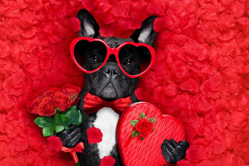红色玫瑰花瓣上的可爱的狗狗