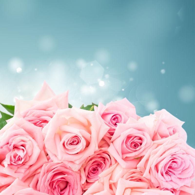 白色背景上的一束漂亮的粉紫色玫瑰