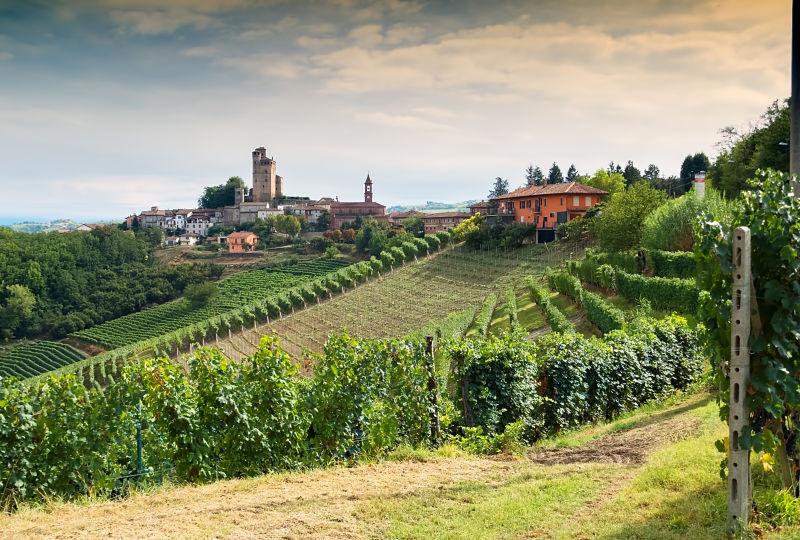 中世纪城镇的城堡和葡萄园