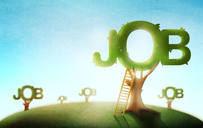 室外场景中的树木和梯子