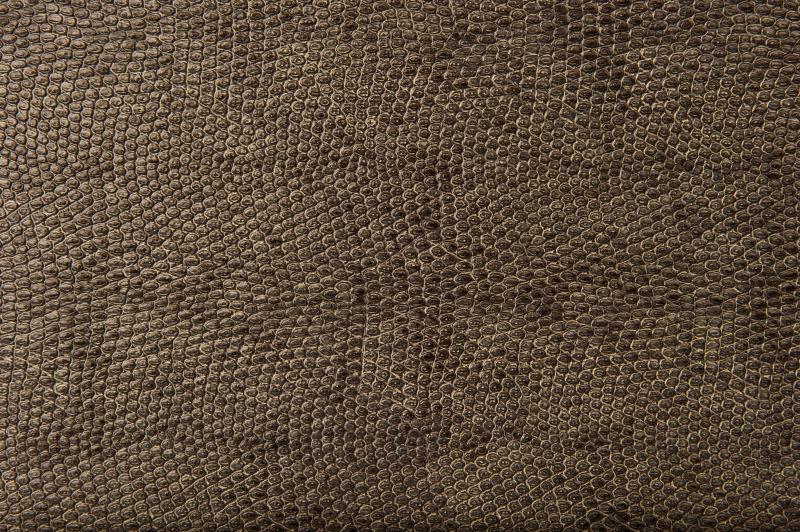 爬行动物皮肤纹理背景