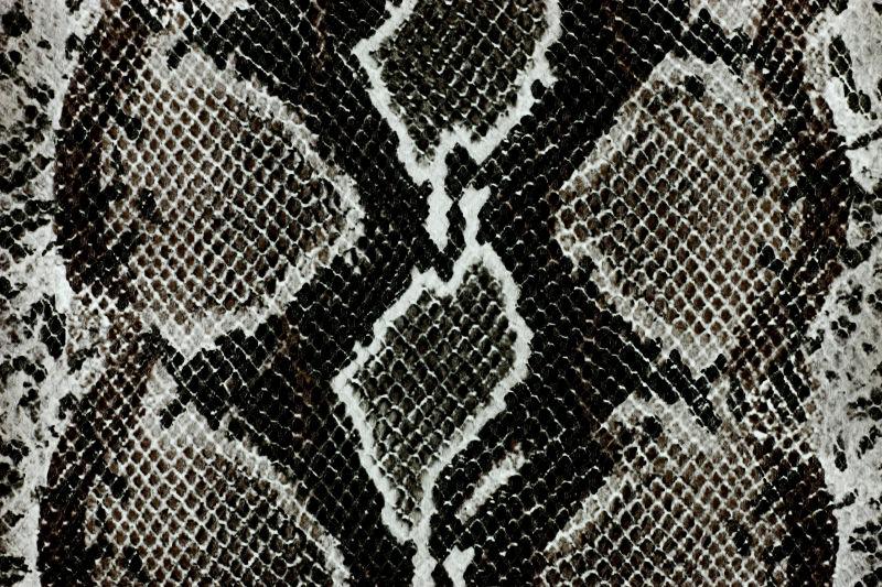 暗色的蛇皮纹理背景
