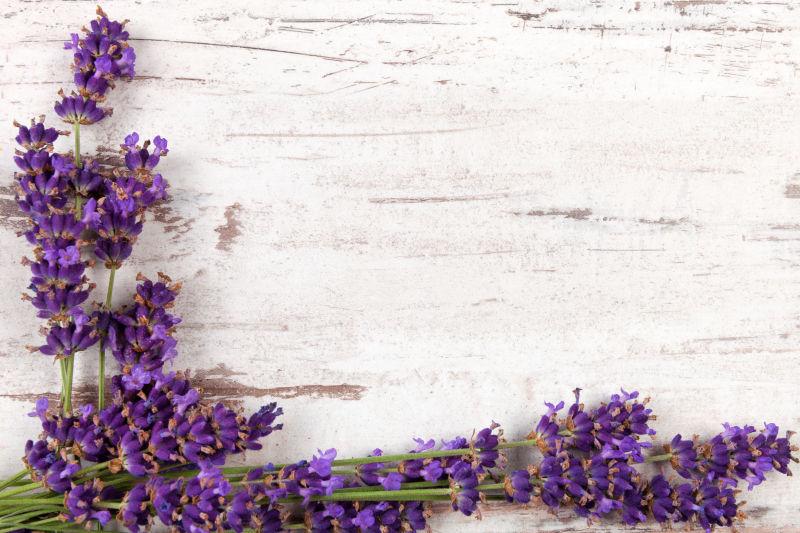 白色木桌上的薰衣草花