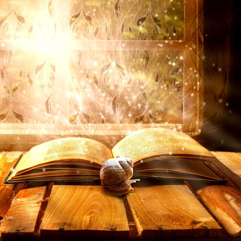 窗前闪光的魔法书和蜗牛