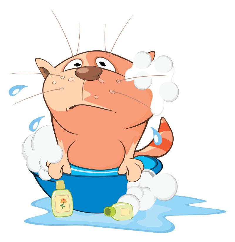 矢量洗澡的卡通猫咪