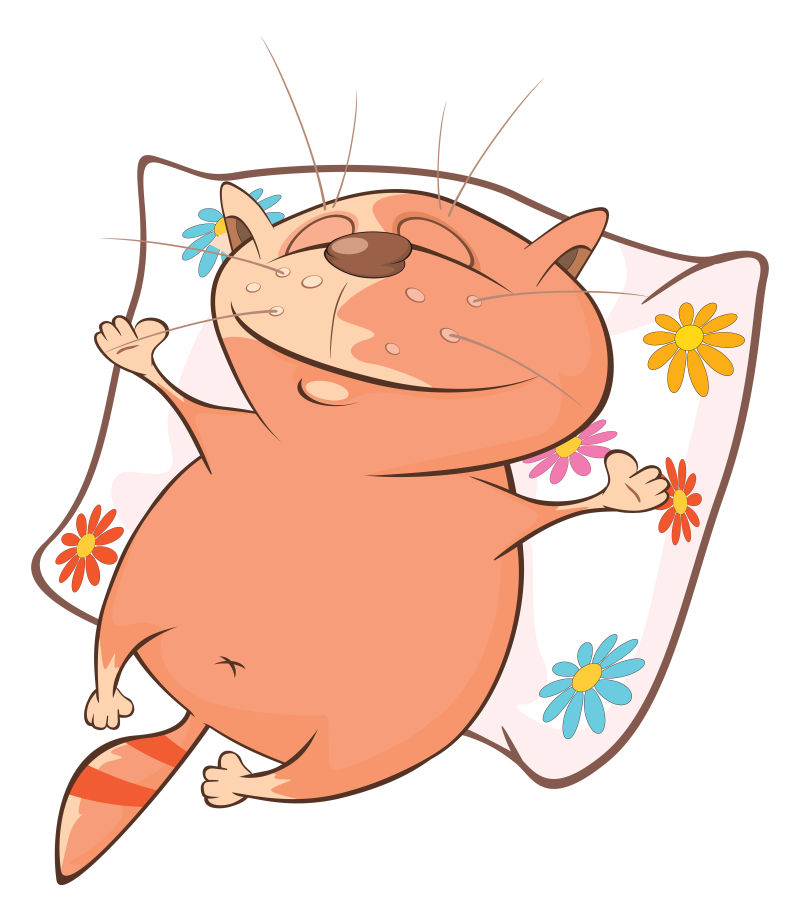 矢量一只可爱的卡通猫咪