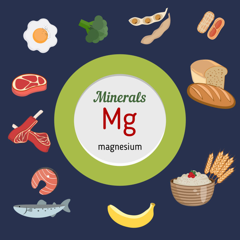 矢量矿物质镁信息图表设计