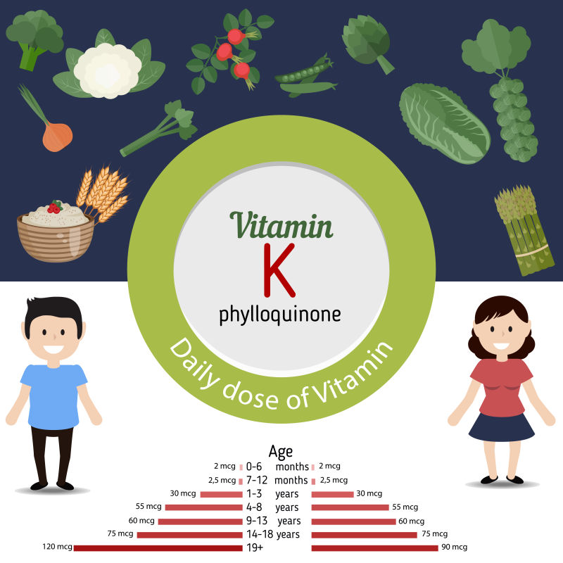 维他命K丰富的食物矢量插图