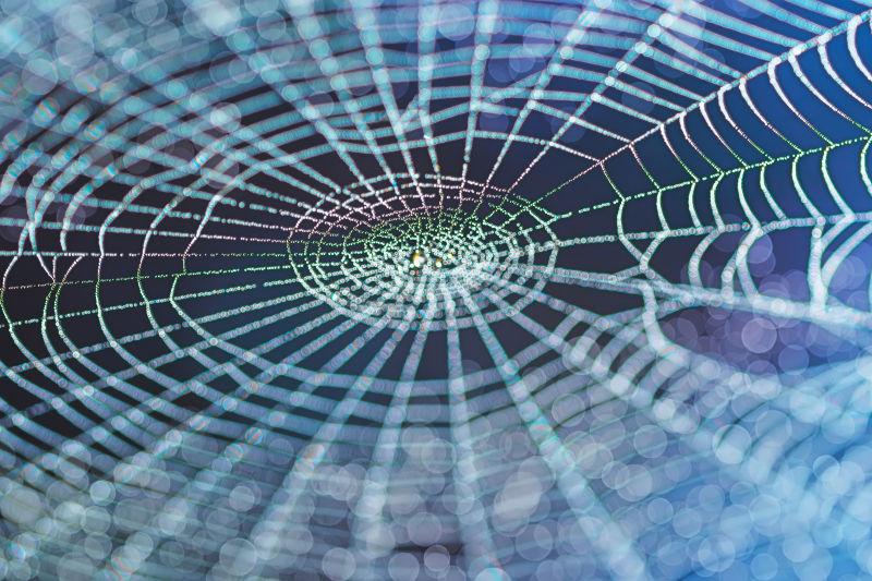 五颜六色的蜘蛛网