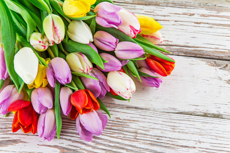 桌子上的多彩郁金香花束