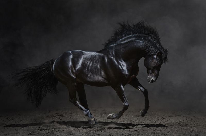 黑色背景下奔驰的黑马