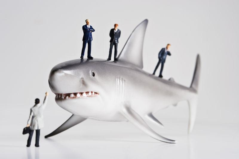 商业人物摆放着鲨鱼雕像