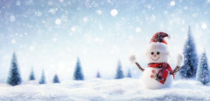 冰雪风景中的雪人