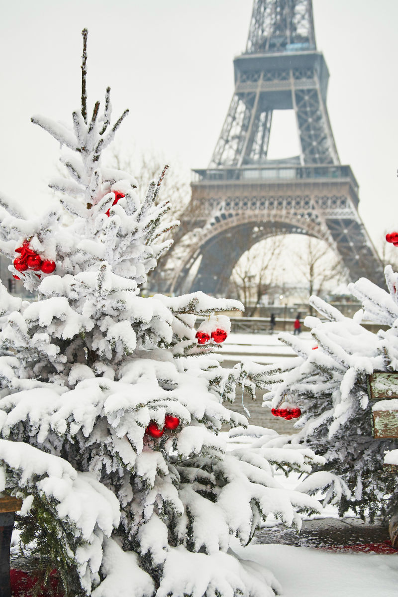 巴黎铁塔下的雪景