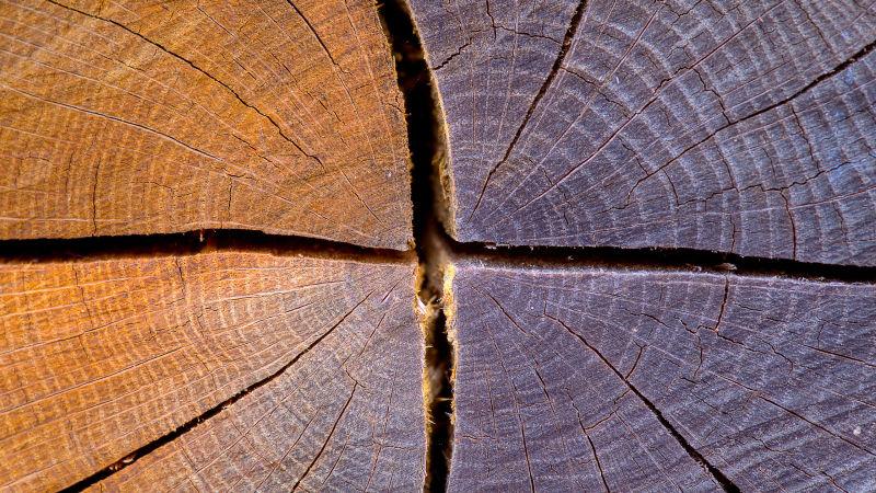 树桩上的裂纹背景