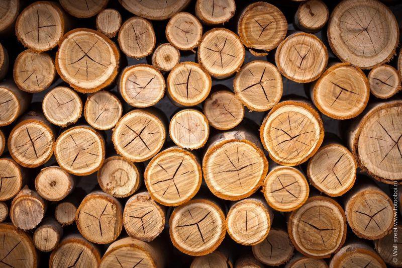 一堆圆木头