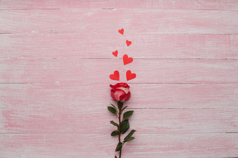 一朵漂亮的玫瑰