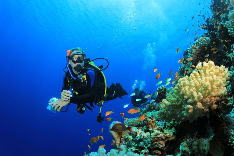 珊瑚礁旁的潜水员