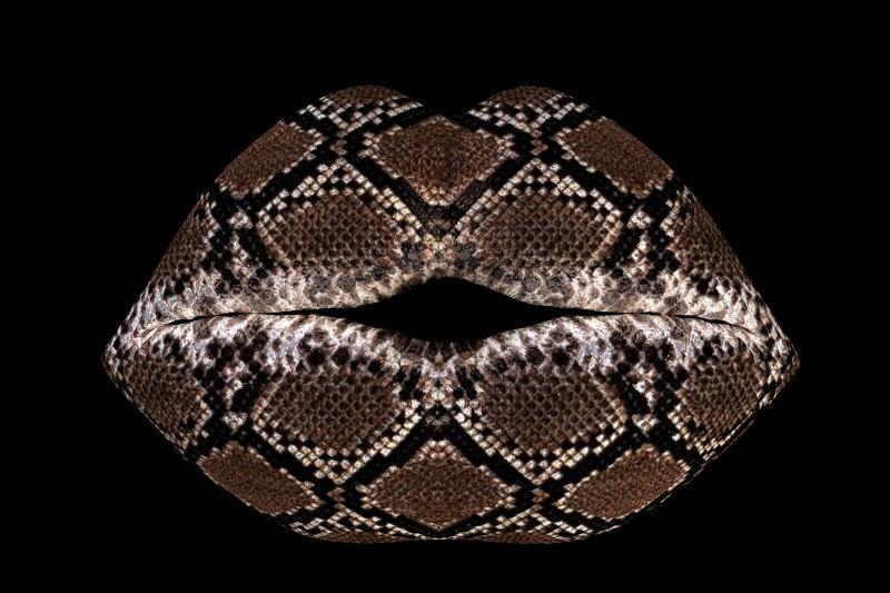 黑色背景下的蛇吻