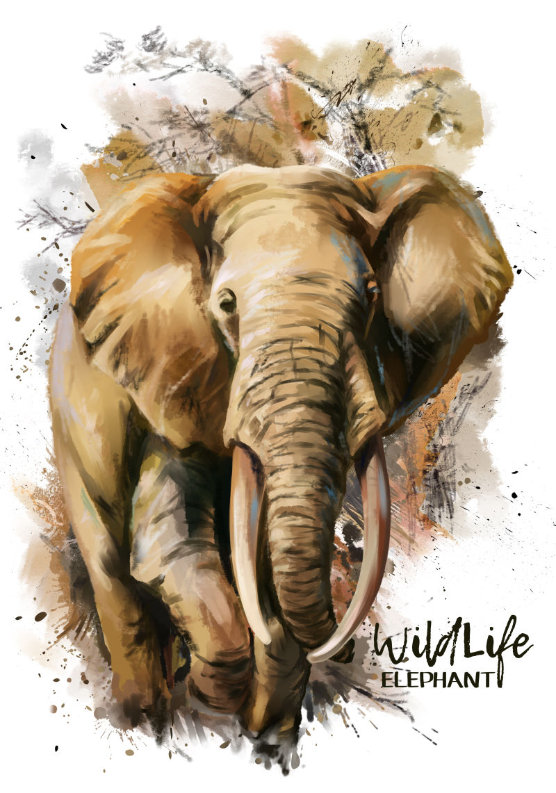 水彩动物图片 大象水彩画素材 高清图片 摄影照片 寻图免费打包下载