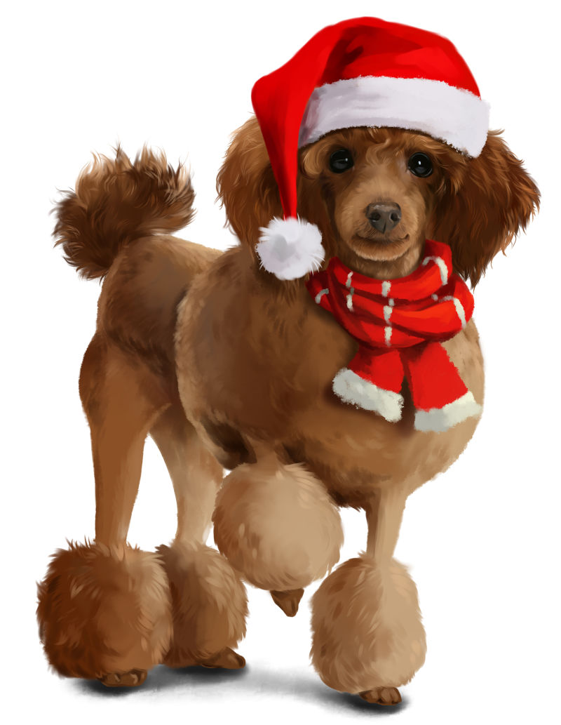 圣诞服装贵宾犬水彩画