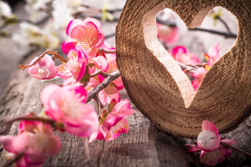 粉色的美丽花朵