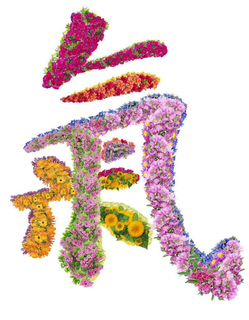 花朵组成的中国象形文字