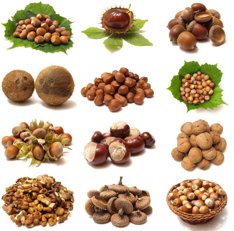 白色背景上的各种坚果