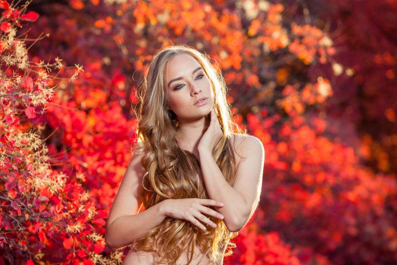 穿着红色和黄色的秋叶