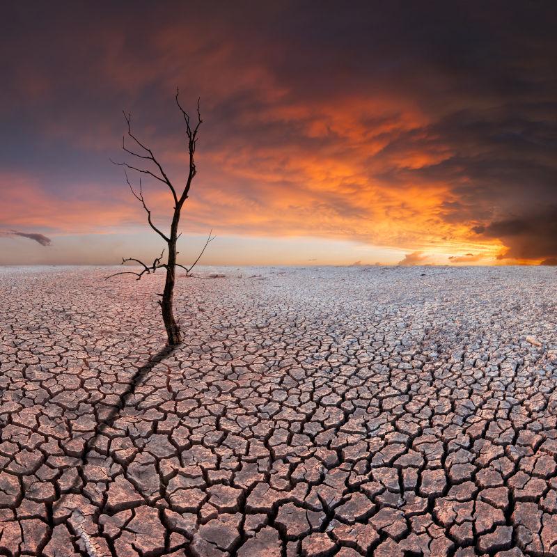 干涸的大地图片 末日天空下干涸的大地素材 高清图片 摄影照片 寻图免费打包下载