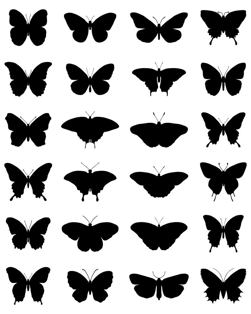 蝴蝶轮廓简笔画简单图片