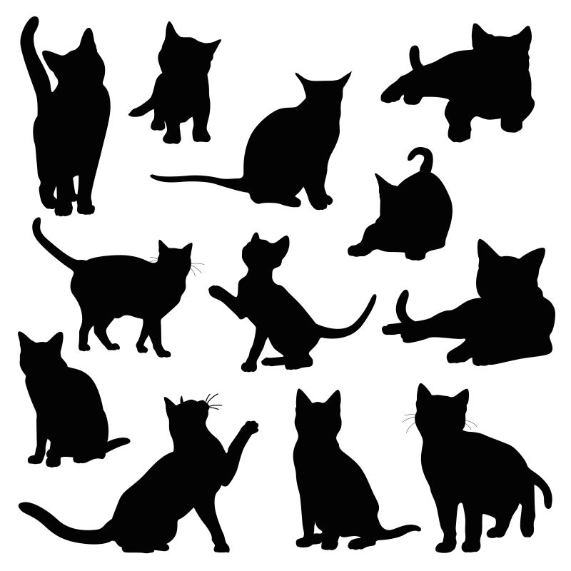 矢量的宠物猫轮廓