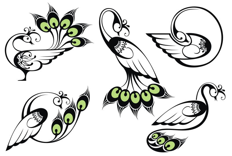 矢量的孔雀插图设计