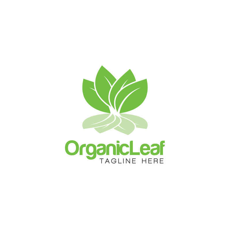 白色背景中的有机叶创意概念标志设计