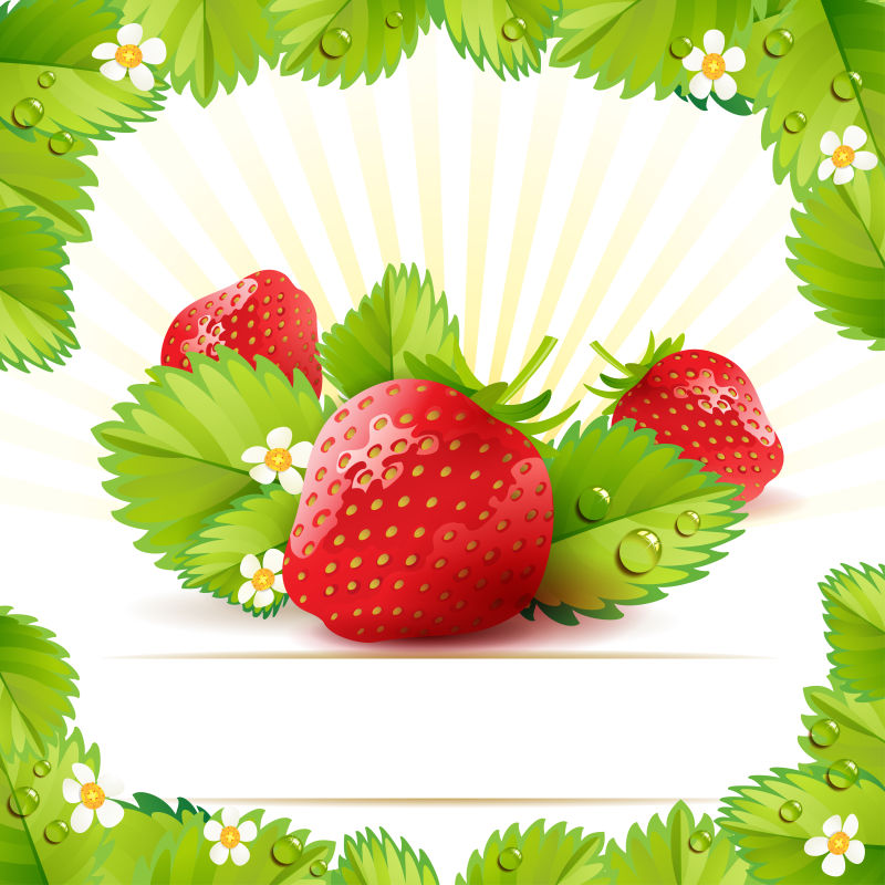 矢量的红色新鲜草莓插图