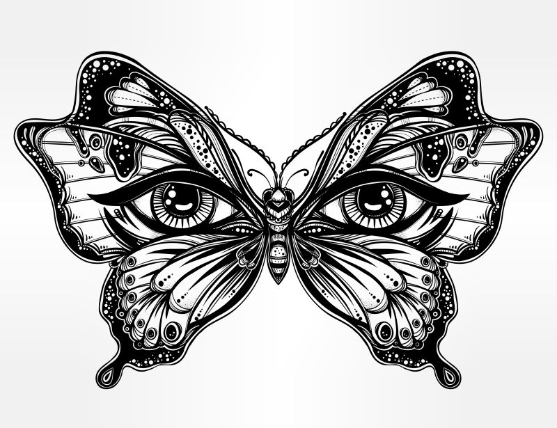 矢量的华丽蝴蝶插图