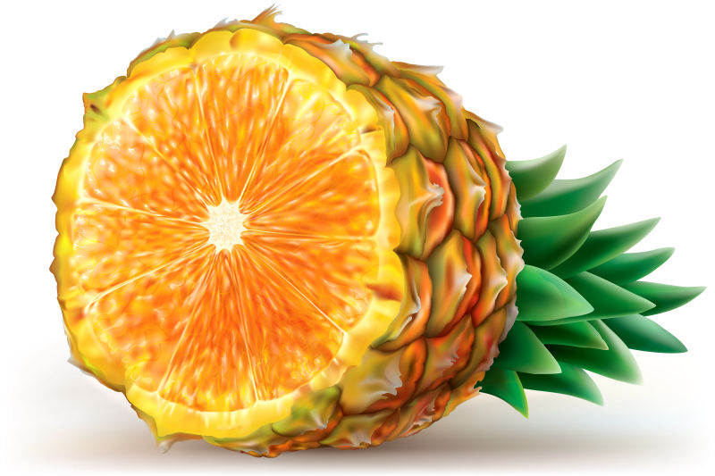 矢量混合菠萝和橙子插图