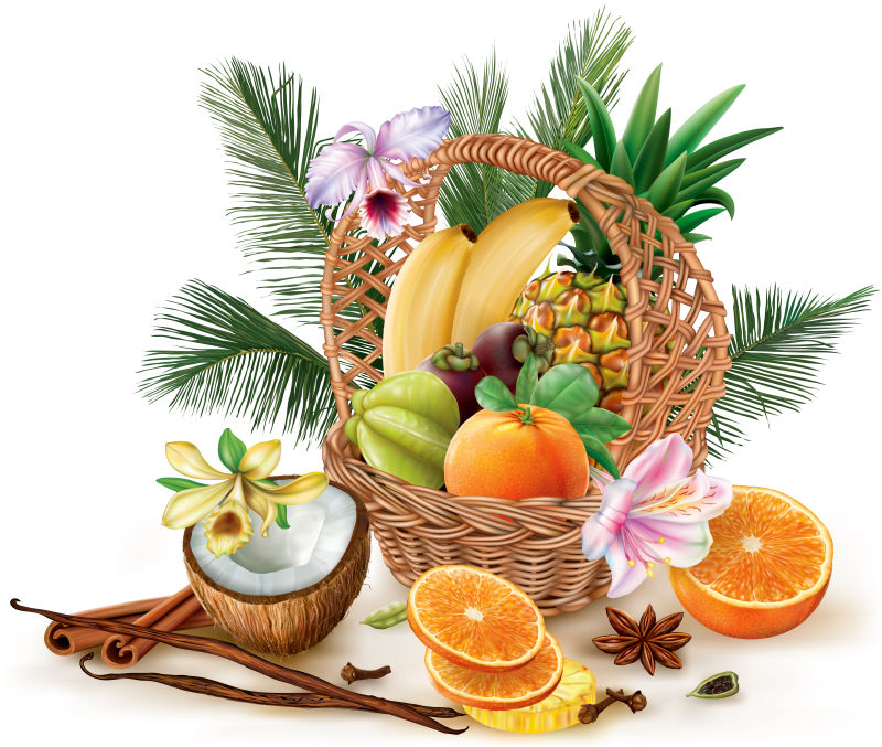 创意矢量新鲜热带水果的抽象插图