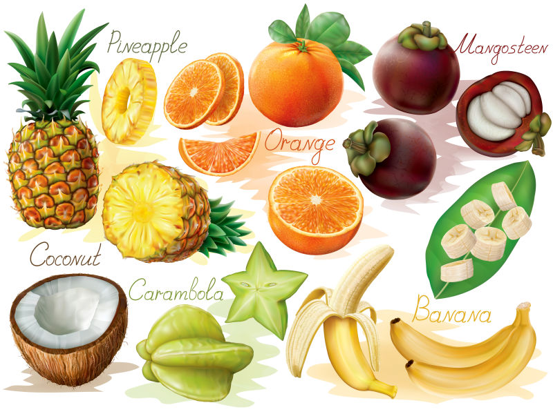 创意矢量各种热带水果的插图