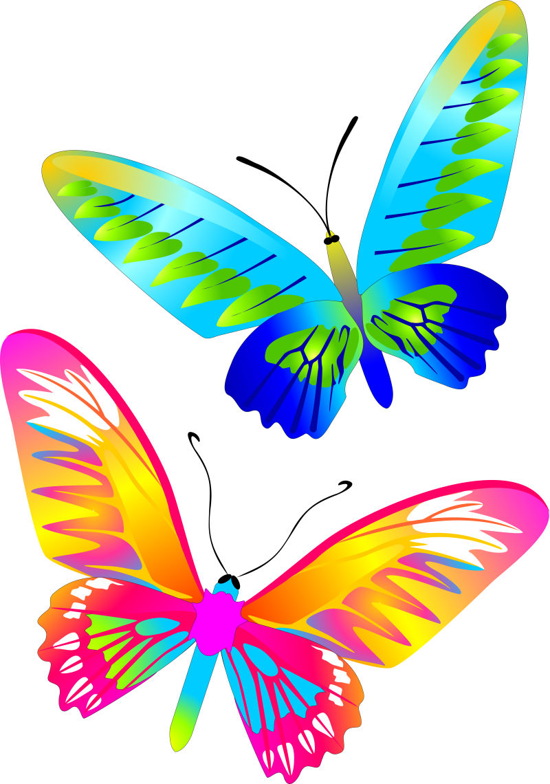 创意矢量手绘彩色蝴蝶设计元素